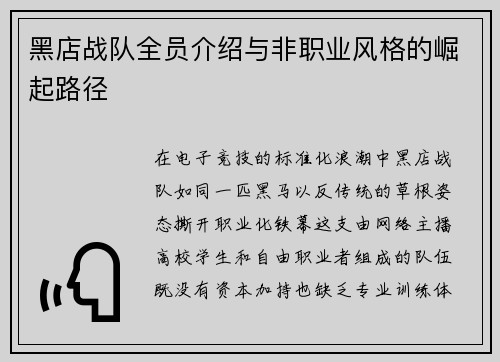 黑店战队全员介绍与非职业风格的崛起路径